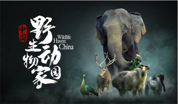 中国电视-《中国：野生动物家园》