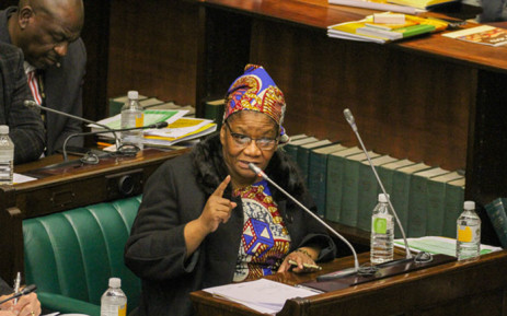 Modise&#39;s Cabinet appointment a loss to Parly, some opposition parties say