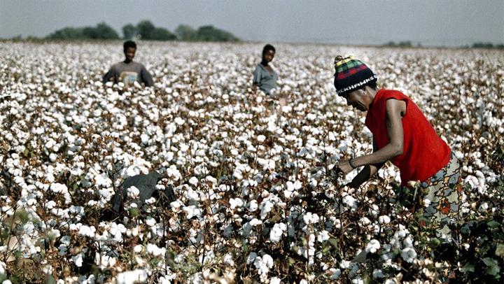 SA fashion retailers are looking for homegrown fabrics – reviving sectors  crippled by Chinese imports | Businessinsider