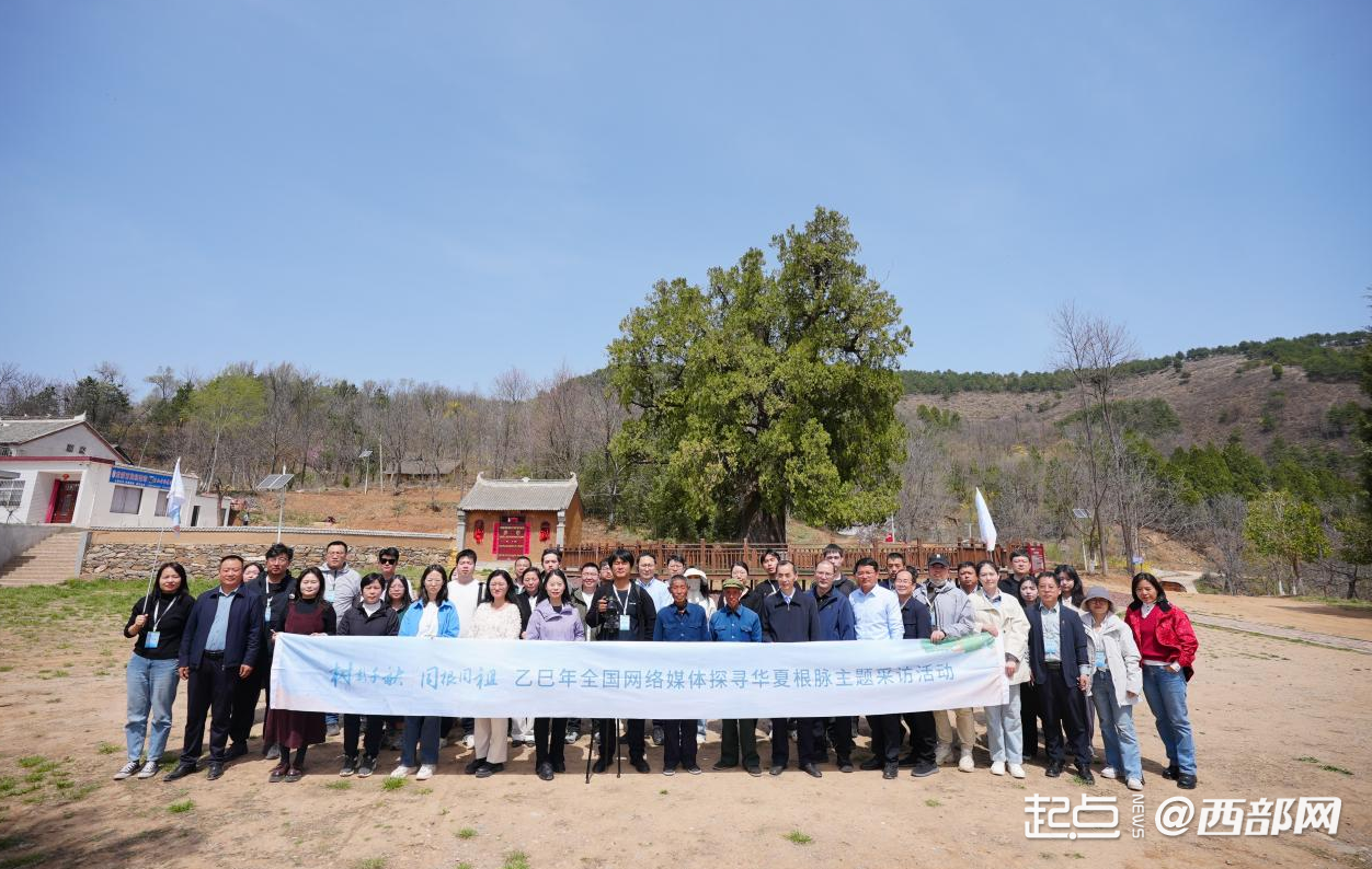 树载千秋·同根同祖｜“先有柏后有观 然后才有洛南县” 全国网络媒体走进页山古柏