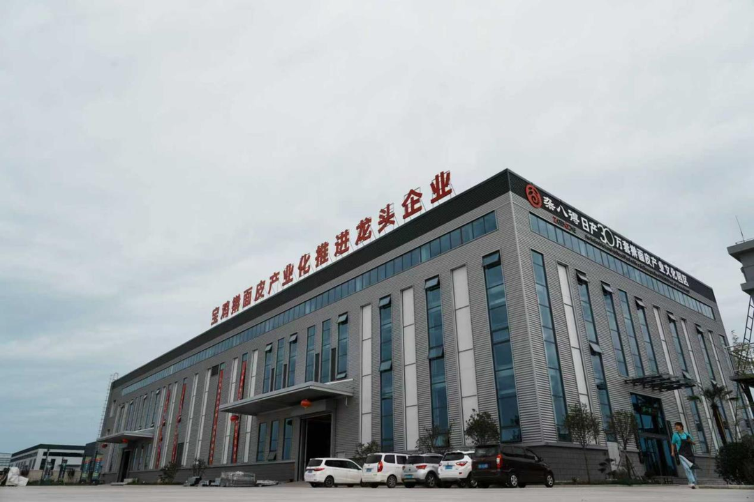 海外华文媒体解锁宝鸡擀面皮产业的 “破圈” 密码