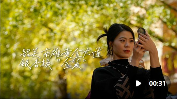 广东秋色“天花板”，韶关南雄银杏迎来最佳观赏期